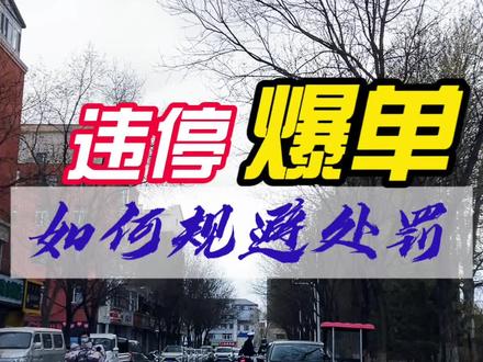 如何规避违停处罚#陈帮主观察 #交通安全