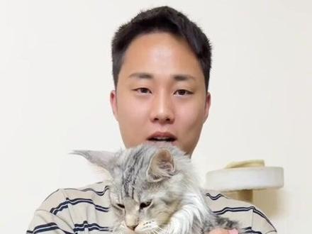 成年猫到家不给碰,攻击性强,这样去纠正。#新手养猫 #养猫经验分享#猫咪#养猫进阶指南 #万物可爱计划