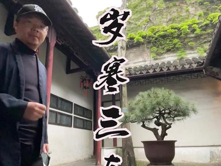 花光最宜笑日,松柏总是常青。且古人讲:山居得乔松百余章,真乃受用不尽。这么讲为什么? #中式庭院 #传统文化