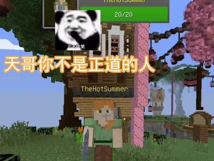 #正道的光 #我的世界 #夏天y 正道的光...你们接