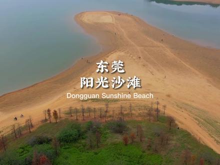没想到东莞还有这样一片沙滩 可以露营 钓鱼 玩沙子 卡斯炉煮茶 假期不知道去哪玩 来这里看看吧 快点收藏起来#户外露营🏕 #亲子游玩好去处 #春节去哪玩 #东莞旅游攻略 #旅行