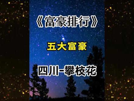 四川攀枝花富豪榜 #四川 #攀枝花 #企业家 #排行榜 #富豪