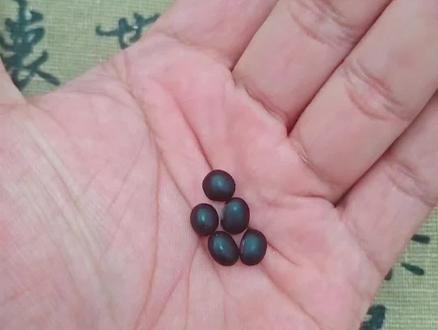 感情姻缘#民俗文化#感情 #玄学小妙招#真实生活分享计划