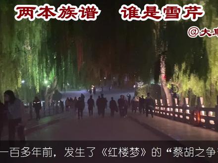 两部记载江宁织造曹家的族谱中,竟找不到一个与曹雪芹相似的人