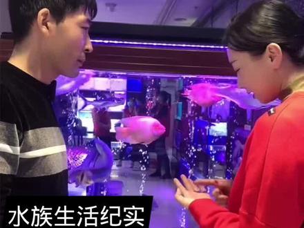 养鱼冷知识!够不够冷你们说了算!我们的楼板到底能承受多大的鱼缸!?#鱼缸 #养鱼 #观赏鱼 @DOU+小助手