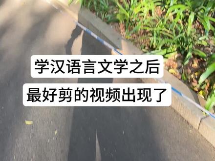 选汉语言文学专业不是因为我有品味,而是我贱#汉语言文学#贱