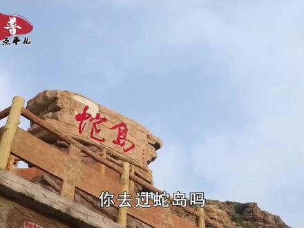 大连蛇岛有2万多条蛇,条条都是剧毒蛇,它们是怎么活下来的?
