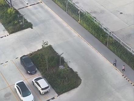 妈妈拍下儿子的上学搭子每天等他一起上学!这份“梧桐树下的约定”让人好羡慕……(来源:沸闻天下)