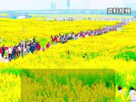 @重庆家长,中小学春假真的要来了!#重庆 #春秋假