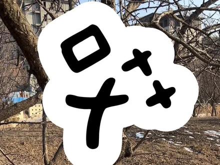 树洞里竟然藏了一袋积木! #积木 #积木搭建 #玩具 #益智玩具 #乐高