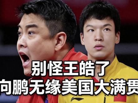向鹏发文澄清谣言:队伍团结无内讧!解释缺席三项重大比赛的原因#向鹏 #王皓 #国乒 #乒乓球 #正能量