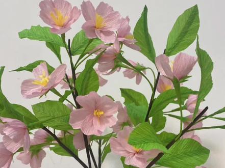 皱纹纸樱花🌸#简单手工花制作教程 #一起玩手工吧