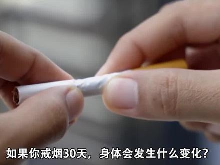如果一次性抽200根烟,肺会怎么样?科学家拿猪肺做了一次实验