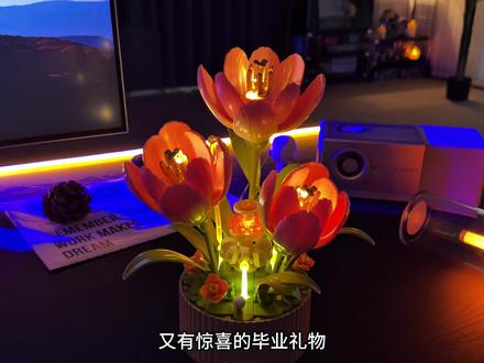 超有仪式感的#毕业礼物 谁能不爱呢!用#积木 耗时90分钟就能拼装完成,拿起喷壶轻轻喷洒,花朵就会慢慢绽放。郁金香寓意着温柔幸福 友谊长存,也祝愿她前路繁花似锦 未来闪闪发光!#手工diy #毕业季 #积木花