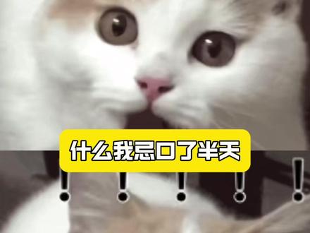 原来辛辣食物是这些东西!#辣椒 #辛辣 #忌口 #冷知识 #科普 @DOU+小助手 @抖音小助手