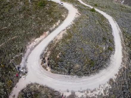 飞沙走石 狂野拉力 2023WRC第三站墨西哥拉力赛预览#wrc拉力赛 #wrc #拉力赛