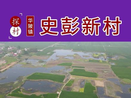 我为我的村代言!第三季—华陂镇史彭新村#抖出你的家乡 #振兴乡村