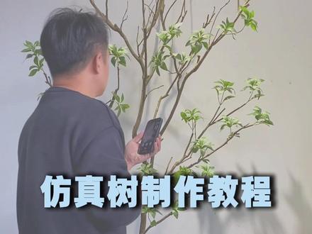 如何制作一棵仿真树 分享仿真树的制作教程
1.挑选好看的树杆
2.修剪一下造型
3.加入仿真叶子
#仿真树
#仿真树制作
#花艺软装
#创作者中心
#创作灵感