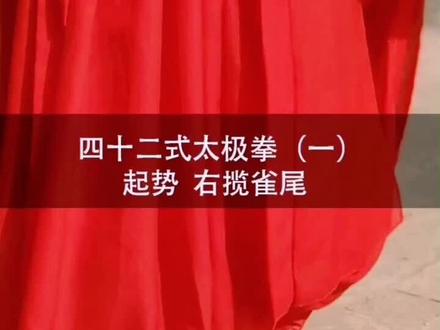 四十二式太极拳第一集||起势 右揽雀尾~今天开始更新咯,希望你们喜欢~#武术 #太极 #传统文化