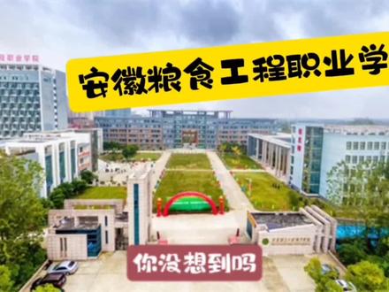 粮食文化--粮食院校