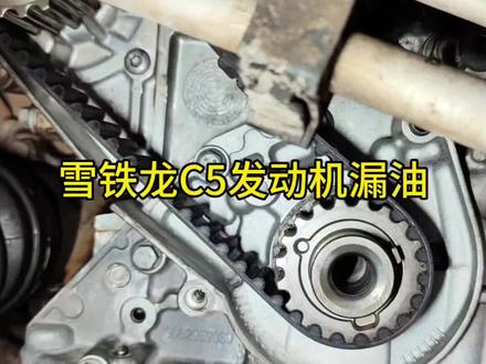 #雪铁龙C5 #发动机漏油 #撸车日常
