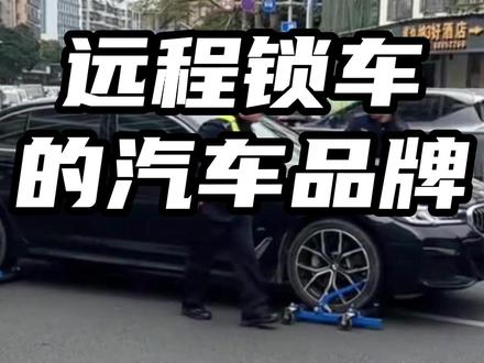远程锁车的汽车品牌 #远程锁车的汽车品牌