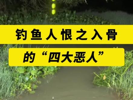 钓鱼人恨之入骨的“四大恶人”,你都遇到过哪些?#钓鱼爱好者 #钓鱼的乐趣只有钓鱼人懂 #钓鱼那些事