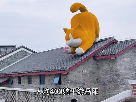 宝藏小城岳阳两日游攻略|带娃看熊猫🐼追洞庭湖日落 路线和出片机位都整理好啦!#岳阳旅游攻略 #亲子游玩好去处 #武汉周边游 #宝藏小城 #vlog十亿流量扶持计划