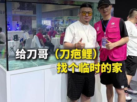 顶着压力给阿哲的刀疤鲤准备临时的小家,诸事就绪,静待刀哥入住 #刀疤鲤 #豆鱼 #虎鲸鱼缸