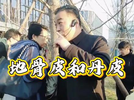 地骨皮和丹皮#邹勇伤寒论 #经方 #中草药 #知识分享 #正能量