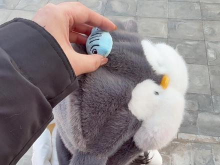 啊哦,突然被拎住 #干嘛拎我帽子 #星动营业中 #一键切换养眼模式