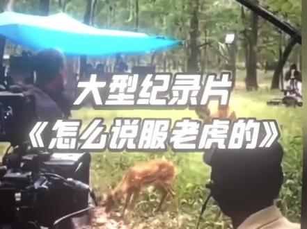 一个你别怕 一个我好怕#动物