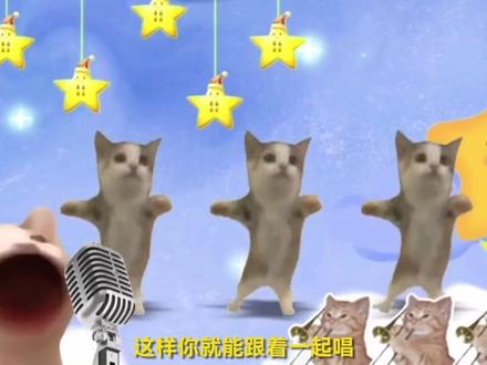 原来#happy猫 的原曲是这样的 #萌宠 #表情包 #魔性