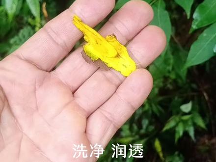 “古人写书皆用黄纸,以蘗染之,所以辟蠧,故曰黄卷。此法即为‘染潢治书法’”,有人知道出处吗?