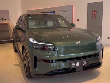 乐道L80和比亚迪大唐EV,你会选谁? #乐道L80 #比亚迪大唐 #新车上市