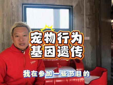 宠物繁殖与遗传基因息息相关! 宠物繁殖与遗传基因息息相关!#宠物 #宠物行为 #宠物繁殖