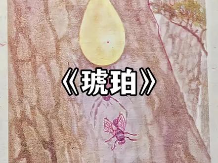 学这篇课文的时候你有没有觉得很神奇,琥珀原来是这样形成的,若干年后里面的昆虫竟然完好无损,弥足珍贵#琥珀#经典诵读#小学语文#昆虫