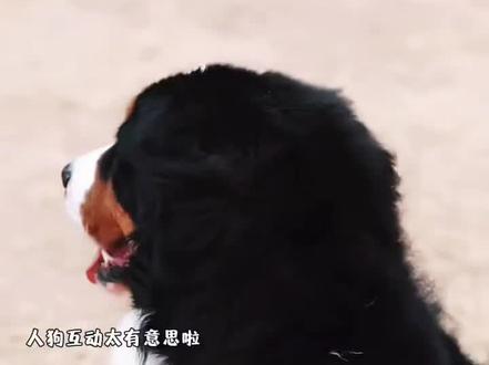 太有趣了 #Ber这很科学啊