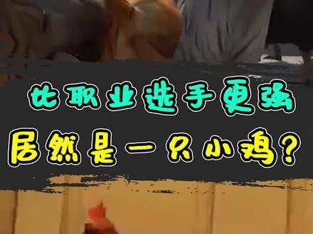 比CGSO职业选手更强的居然是游戏里的小鸡?