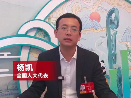 杨凯代表:严打AI诈骗,守好百姓“钱袋子”#2026全国两会 #两会看检察