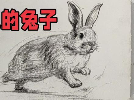 画一只奔跑的兔子,速写动态很生动 #速写 #动物绘画 #画画练习打卡 #绘画教程 #随手画 #速写教学 #每日一画 #零基础学画画 #学画画