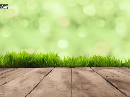电脑开机自动启动项设置实用技巧,收藏起来#在线学习