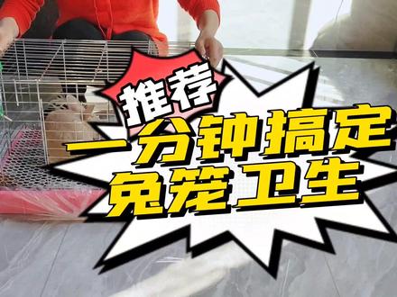 一分钟搞定兔笼卫生#萌宠出道计划 #兔子 #清洁 #抖音萌宠出道计划 #饲养员日常