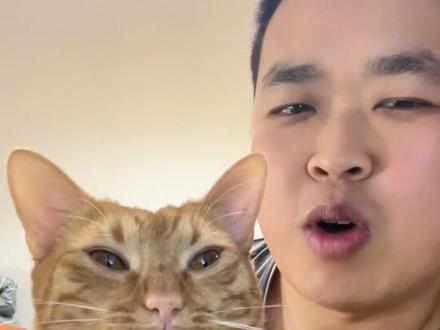 你家猫猫是灵珠还是魔丸。#宠物故事 #猫