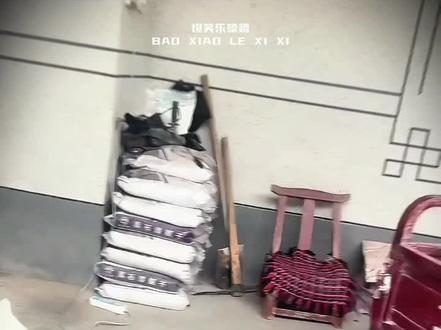 汪汪队的倒霉瞬间#宠物训练 #狗子的迷惑行为#倒霉狗