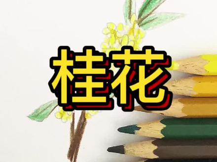 🍓教你画桂花#每日一画 #每日一画 #一起学画画 #在哪都要好好过年 #彩铅 #绘画过程 #简笔画教程