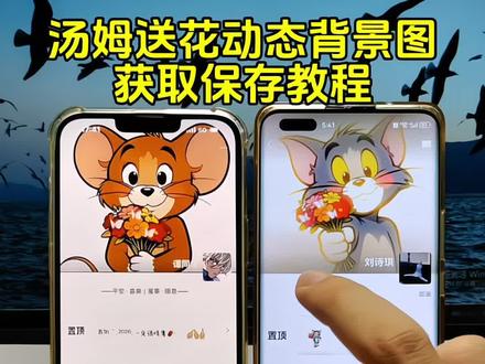 汤姆送花动态背景视频来了#汤姆送花图片 #汤姆送花 #朋友圈背景图 #朋友圈动态视频 #猫和老鼠的爱情 杰瑞拿花动态图 猫拿花动态图 送你一朵小红花 小红花猫和老鼠头像 我一直在寻找爱的的目标 桃花运dj 杰瑞收花动态视频 猫和老鼠情头 桃花运歌曲
