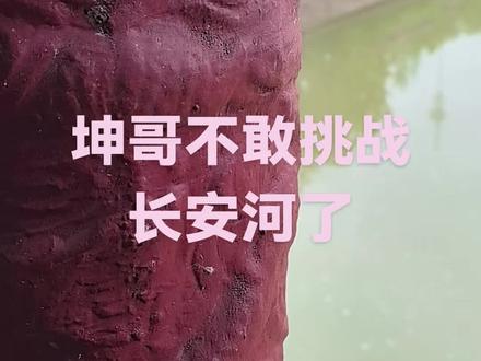 临湘长安河百万大奖赛垂钓区?