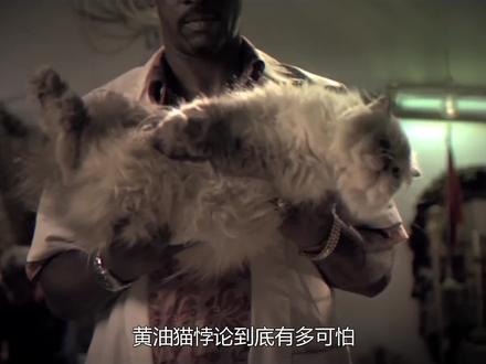 不可思议的黄油猫悖论,面包+猫=永动机,结果颠覆我的认知 #涨知识 #科普一下