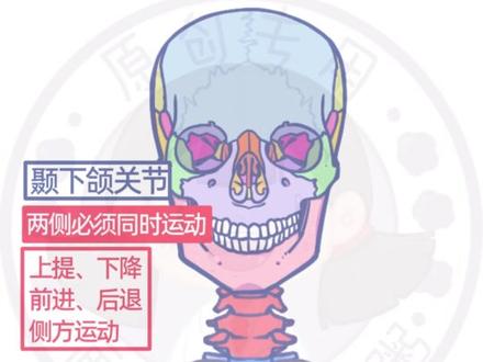 全身关节看不懂、记不住,一个视频梳理清楚,再也忘不掉! 听说宝子们准备期末了,全身关节梳理来啦!
#医学知识科普 #关节 #系统解剖学笔记 #医学生懂医学生 #青年创作者成长计划